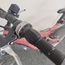 19" Bicycle Image 2