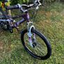 Apollo Craze (fully Serviced Like New ) Image 4