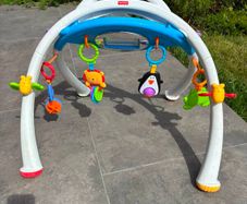Fisher-Price Apptivity Gym