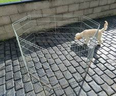 Dog pen / cage