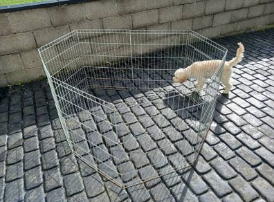 Dog pen / cage