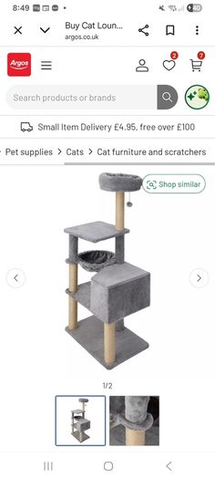 Cat Scrater and Play Lounge