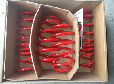 AUDI A4 B5 High Quality Lowering Springs SIMONI RACING