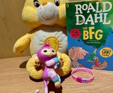 Carebear Bundle