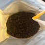 Josera "Marinesse" cat food Image 3