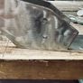 Welder Available Mobile Welding Repairs & Fabrication Image 4