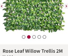 Garden Wall Trellis