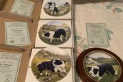 Collie dog plates