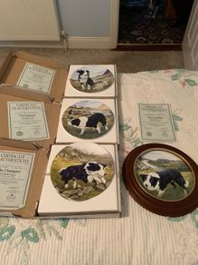 Collie dog plates