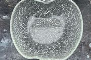 Vintage Retro Ravenshead fruit/desert bowl c1970