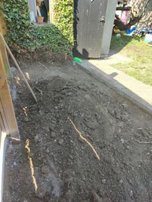 Free Top Soil