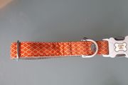 Hugo and Hudson large dog collar