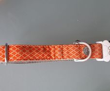 Hugo and Hudson large dog collar