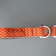 Hugo and Hudson large dog collar