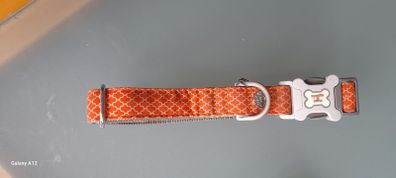 Hugo and Hudson large dog collar