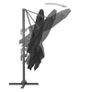 Cantilever Umbrella with Aluminium Pole 3x3 m Black Image 6