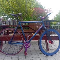 Fixie custom