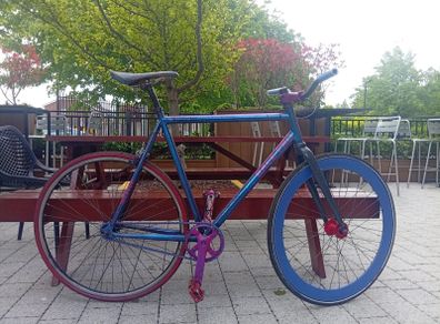 Fixie custom