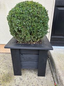 box planters