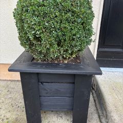 box planters