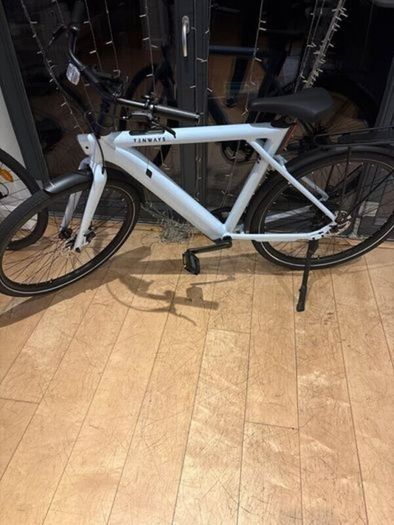 Tenways CGO009 Electric Bike