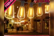 Festoon Lights Outdoor 60FT, String Lights Mains Powered Waterproof with 31Pcs ST38 Plastic LED Bulbs, 2200K Warm White Garden Patio String Lights for Party Decor Wedding (FREE POSTAGE)