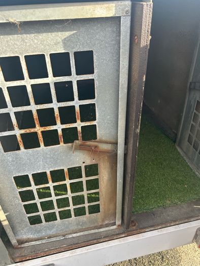dog trailer