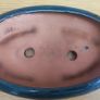 Oval Bonsai pot Image 2
