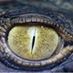 Krokodil