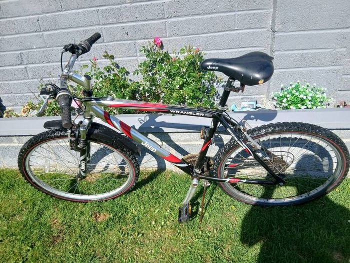 Adult's Bike