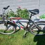 Adult's Bike Image 4