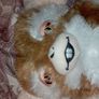 Gizmo Mogwai 10" / 25cmplushie Image 8