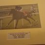 horse racing memorabilia Image 4