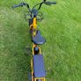 Electric Bike Image 4