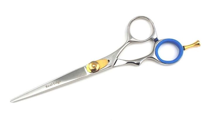 Professional Salon Hairdressing Hair Cutting Razor Scissors With Black Case (15.5cm, Silver)