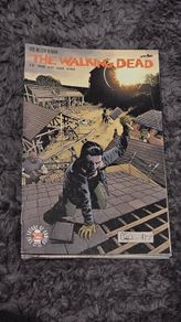 The Walking Dead Comic Lot