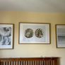 Set of picture frames Image 2