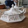 eternal beau dish Image 3