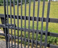 Side Gate Garden Gate