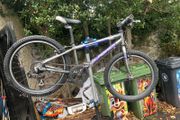 islabikes Beinn 20