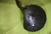 Bewlay smoking pipe