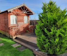 Sauna for sale
