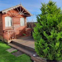 Sauna for sale