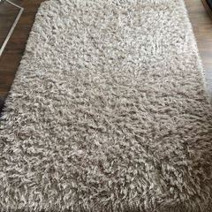 Shaggy Rug
