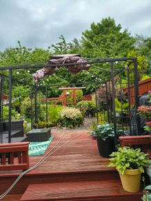 Gazebo