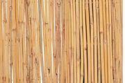 Bamboo Fence 300x100 cm