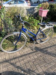 raleigh bike