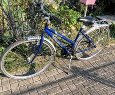 raleigh bike