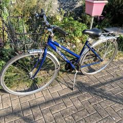 raleigh bike