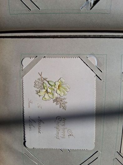 Mega Art Nouveau Postcard Album (197 Pieces)
